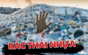 Bao Bì Nhựa Đang Nuốt Chửng Trái Đất: Đâu Là Lối Thoát Cho Ngành Thực Phẩm? 3 Bao Bì Nhựa Đang Nuốt Chửng Trái Đất: Đâu Là Lối Thoát Cho Ngành Thực Phẩm?