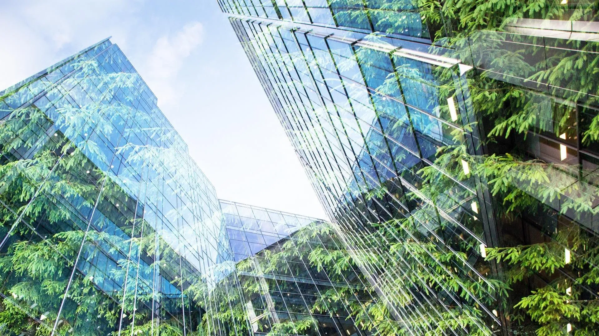 b8a20fc04c037606742b6cf6b03d4a2d8df24dc5 11zon